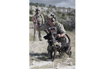 Image of MOHOC in Action
