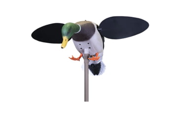 Image of Mojo Baby Drake 2.0 Decoy, Mallard Drake, HW2566