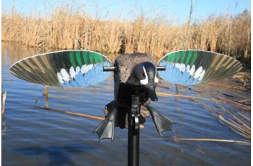 Image of Mojo Blue Wing Teal, Elite Series HW2475