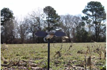 Image of Mojo Elite Series Dove Decoy