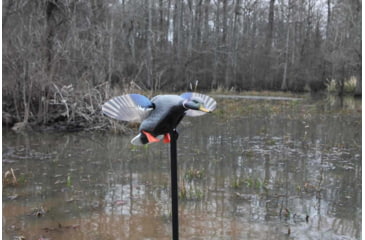 Image of Mojo Elite Series Mini Mallard Drake Decoy HW24703P