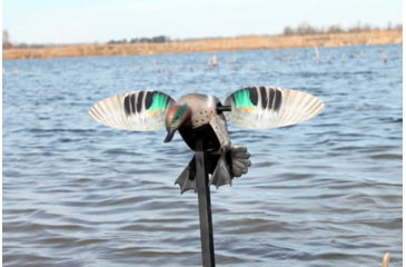 Image of Mojo Green Wing Teal Decoy, Elite Series, HW2474