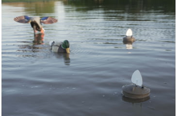 Image of Mojo Outdoors Flock a Flocker 2, Brown/White, HW2531