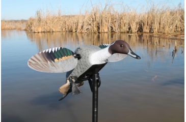 Image of Mojo Pintail Decoy, Elite Series HW2469