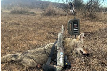 Image of Mojo Triple Threat E-Caller Digital Game Call, Camo, HW2503