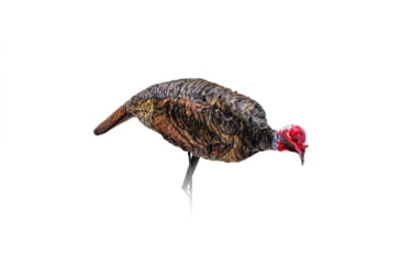 Image of Montana Decoy Co. Jake and Miss PurrFect Pair XD Turkey Combo, QW0086