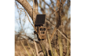 Image of Moultrie Feeders Edge 4 Solar Cellular Trail Camera, 40MP, Brown, MMC-14269
