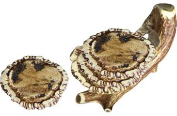 Image of Mountain Mike's Replica Antler Coaster Set 4 W/holder