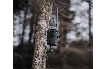 Image of Muddy Trifecta 180 Cellular Trail Camera, 36MP, Camo, MUS-TRF180