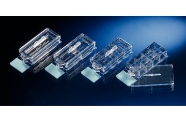 Image of Nalge Nunc Slide Labtek Ii 2well Cc2 Pk16 154852, Unit PK