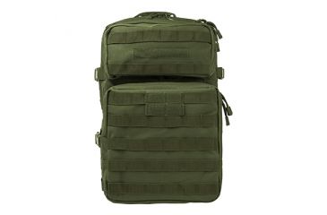 Image of Assault Backpack, Green