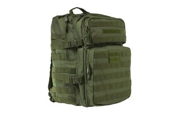 Image of Assault Backpack, Green
