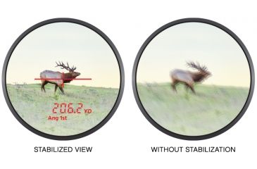 Image of Nikon Monarch 3000 6x21mm Stabilized Laser Rangefinder,Black, 16556