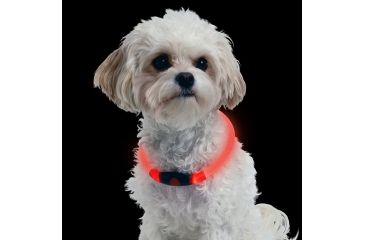 Image of Nite Ize Nite Howl LED Pet Safety Necklace,Red LED NHO-10-R3