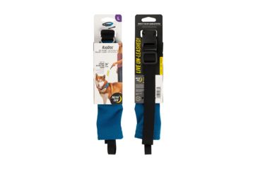 Image of Nite Ize RadDog All-In-One Collar Plus Leash, Blue, Large RRLL-03-R3