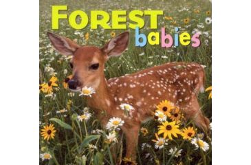 Image of Ntl Book Network Forest Babies 9781559718745