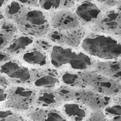 Image of Pall Nylaflo Membrane Disc Filters, Pall Life Sciences 66610