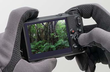 Image of Pentax WG-8 Digital Camera