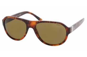 Image of Polo PH4037 Bifocal Sunglasses - Spotted Havana Brown Frame w/ 56 mm Diameter Lenses, 501773-5617