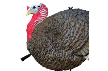 Image of Primos Hunting Gobbstopper Jake Turkey Decoy, Box, 69066