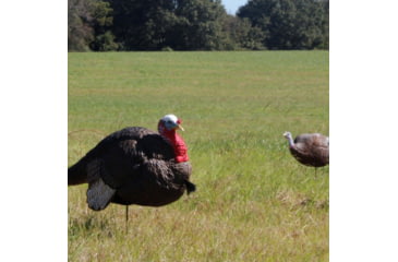 Image of Primos Hunting Gobbstopper Jake Turkey Decoy, Box, 69066