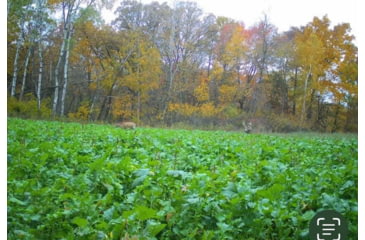 Image of RaKK Fuel Tombstone 1/2 Acre, Small, 7536