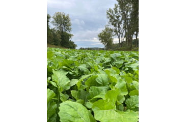 Image of RaKK Fuel Tombstone 1/2 Acre, Small, 7536