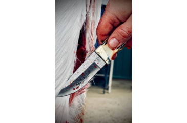 Image of Remington King of Mountain 2026 Bullet 3.5in Fixed Blade Knife