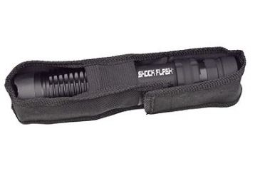 Image of Renegade Tactical Steel 2 Million Volt Stun Gun and Flashlight, Black RT121