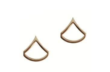 Image of Rothco Private First Class Polished Insignia, Gold, 1641-Gold