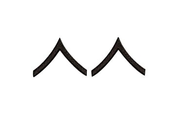 Image of Rothco Private Insignia, Subdued, 1600-Subdued