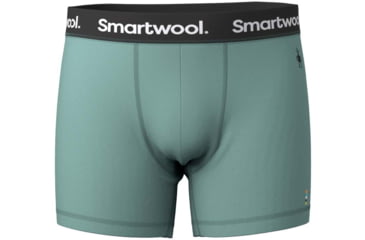 Image of Smartwool Everyday Merino Boxer Brief Boxed - Mens