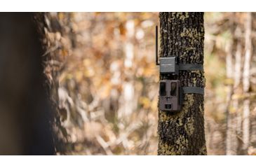 Image of Spypoint CELL-LINK Trail Camera, Verizone Cell Service, Grey, CELL-LINK-V