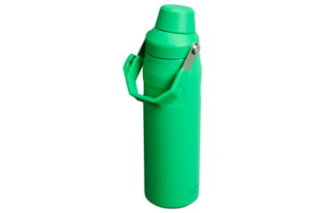 Image of Stanley The IceFlow Fast Flow 24 oz Bottle with Fast Flow Lid, Meadow, 24 oz / 0.71 L, 10-11287-203