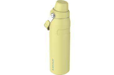 Image of Stanley The IceFlow Fast Flow 24 oz Bottle with Fast Flow Lid, Pomelo, 24 oz / 0.71 L, 10-11287-014