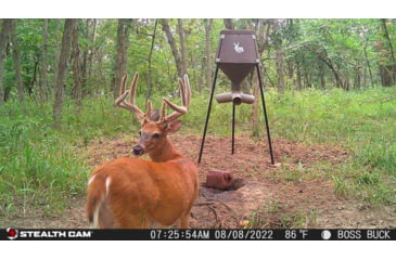 Image of Stealth Cam Fusion-X Pro Cellular Hunting Trail Camera, 36MP, Video &amp; Photo, Camo, STC-FXWT