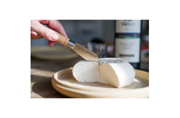 Image of Swiss Advance JACK Penny Knife