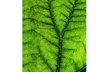 Image of Tasco Digital Microscope