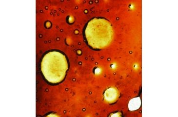 Image of Tasco USB Microscope 780200