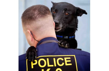 Image of Thin Blue Line Dog Collar, Thin Blue Line - TBL-BB-CR-MEDIUM