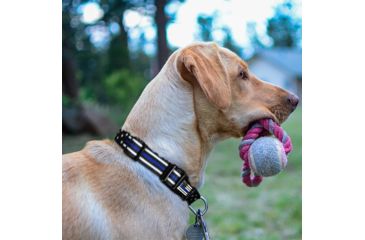Image of Thin Blue Line Stars & Stripes Collar, Thin Blue Line - TBL-AM-CR-SMALL