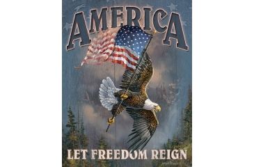 Image of Tin Signs Let Freedom Reign Tin Sign TSN1668