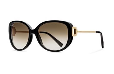 Image of Tod's TO0113 Sunglasses - Shiny Black Frame Color