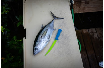 Image of TRUE Syk 4in Trout Fillet Knife