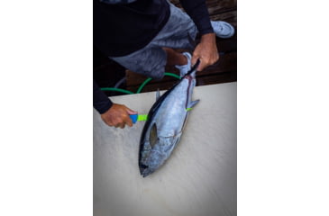 Image of TRUE Syk 4in Trout Fillet Knife