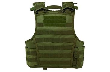 Image of VISM Vism Expert Plate Carrier Vest, Green, Extra Small, CVPCVXC2963G
