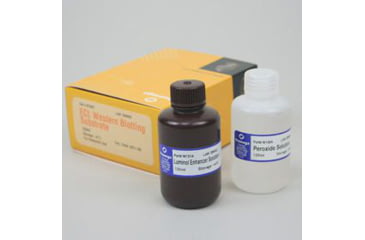 Image of VWR Ecl Western Blotting 250ml W1001, Unit EA