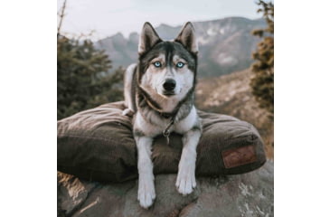 Image of White Duck Dog Bed, Brown, 36inx27inx4in, FBA-PBB-3422