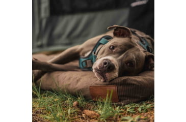 Image of White Duck Dog Bed, Brown, 36inx27inx4in, FBA-PBB-3422