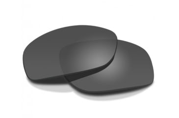 Image of Wiley X WX Rebel Sunglasses, Matte Black Frame, ACREBPALT